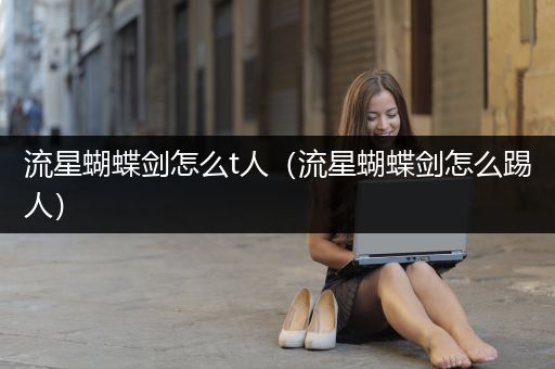 流星蝴蝶剑怎么t人（流星蝴蝶剑怎么踢人）